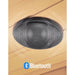 Regen8 Trio 3 Person White Outdoor Infrared Sauna Bluetooth Speaker Look